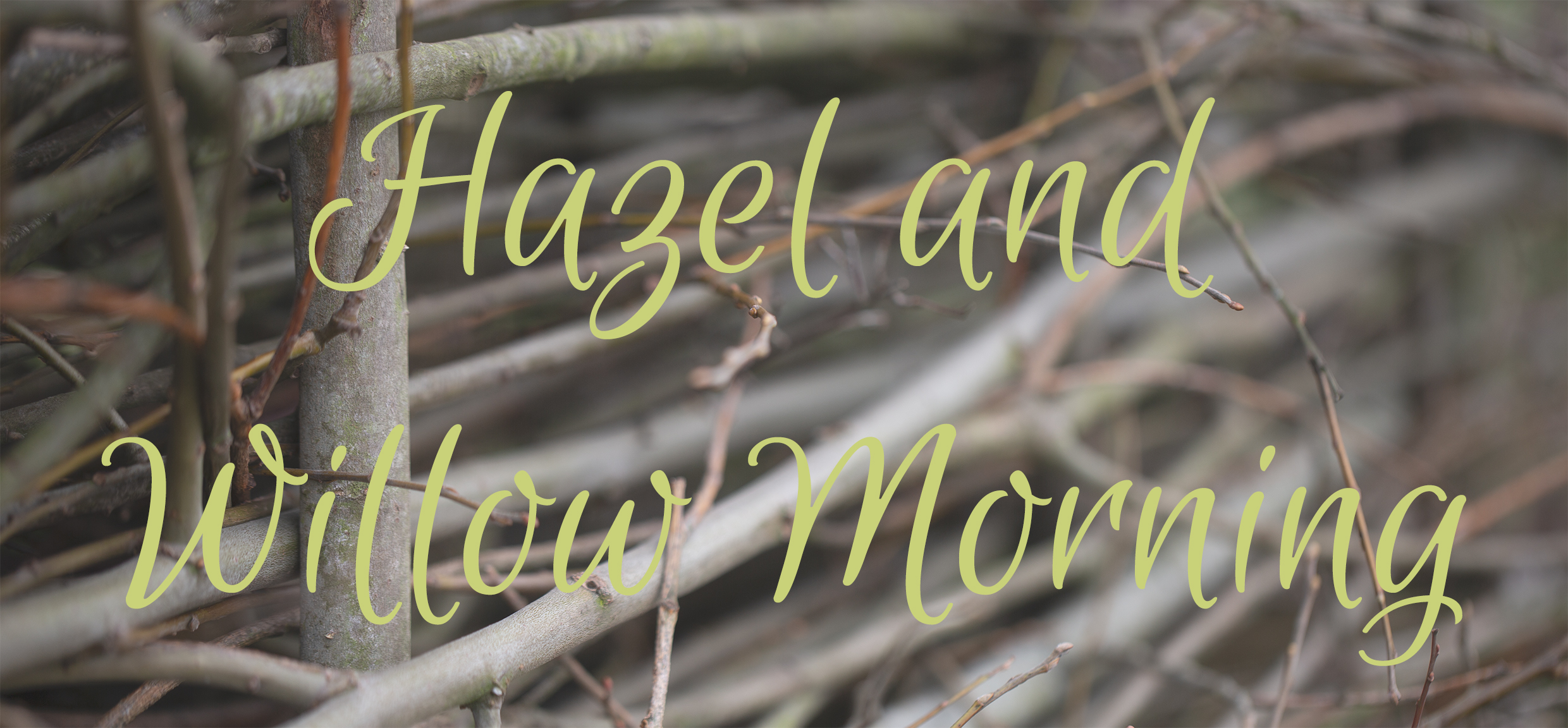 Woven stick background with the words Hazel and Willow Morning