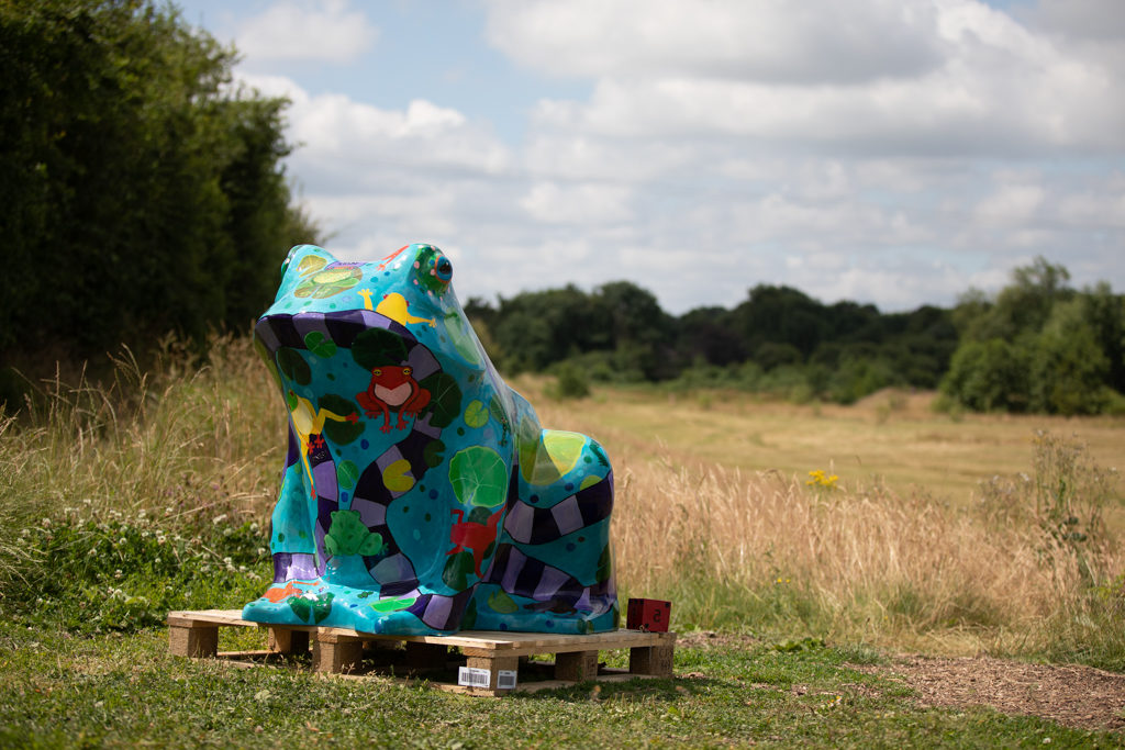 A carbon fiber toad statue painted with bright colours and a board game theme standing in a meadow.