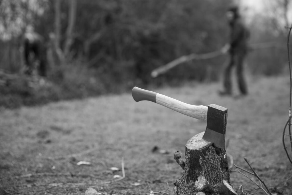 Black and white image of an axe, head down in a tree stump. A blurry person in the background is carrying a long branch.